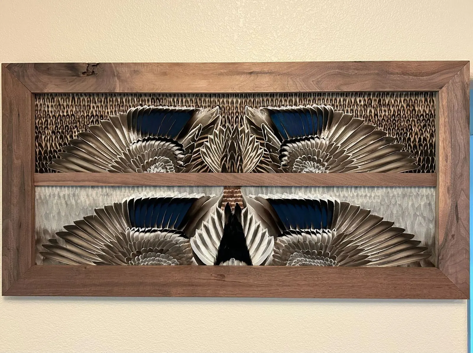 Custom double feather mount with a white-winged mallard hen and drake in one hardwood frame
