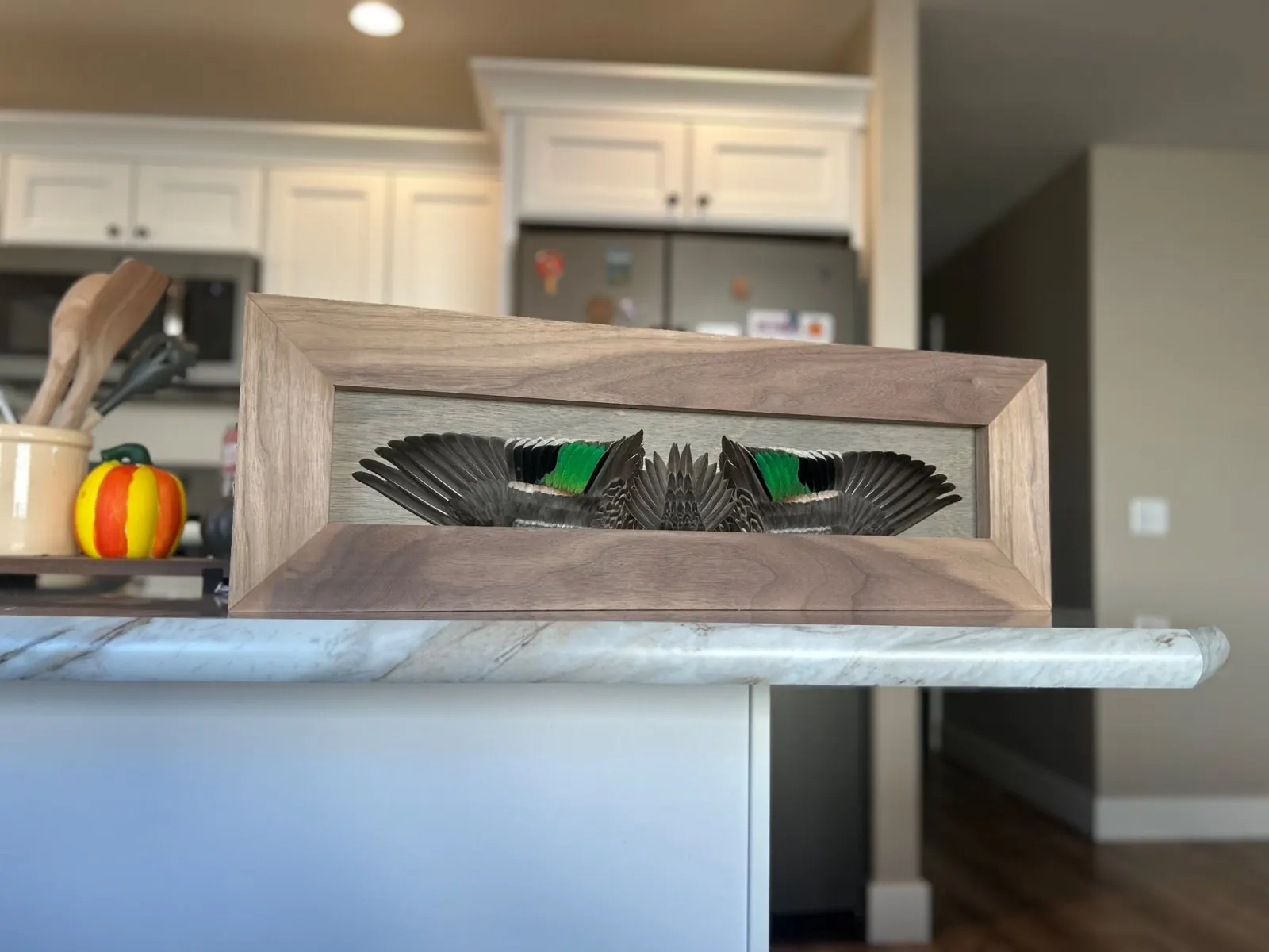 Green-winged teal feather board on a kitchen counter