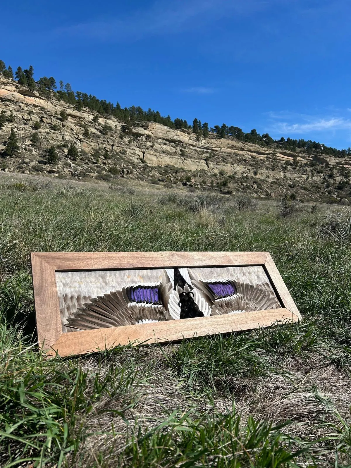 Drake mallard feather mount propped outdoors below a sandstone rimrock