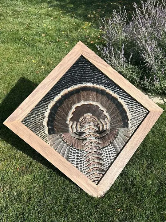 Merriam's turkey diamond mount by the lavender