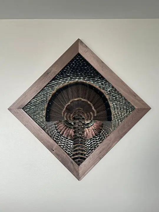 Rio Grande turkey diamond mount on the wall