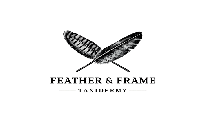 Feather & Frame Taxidermy