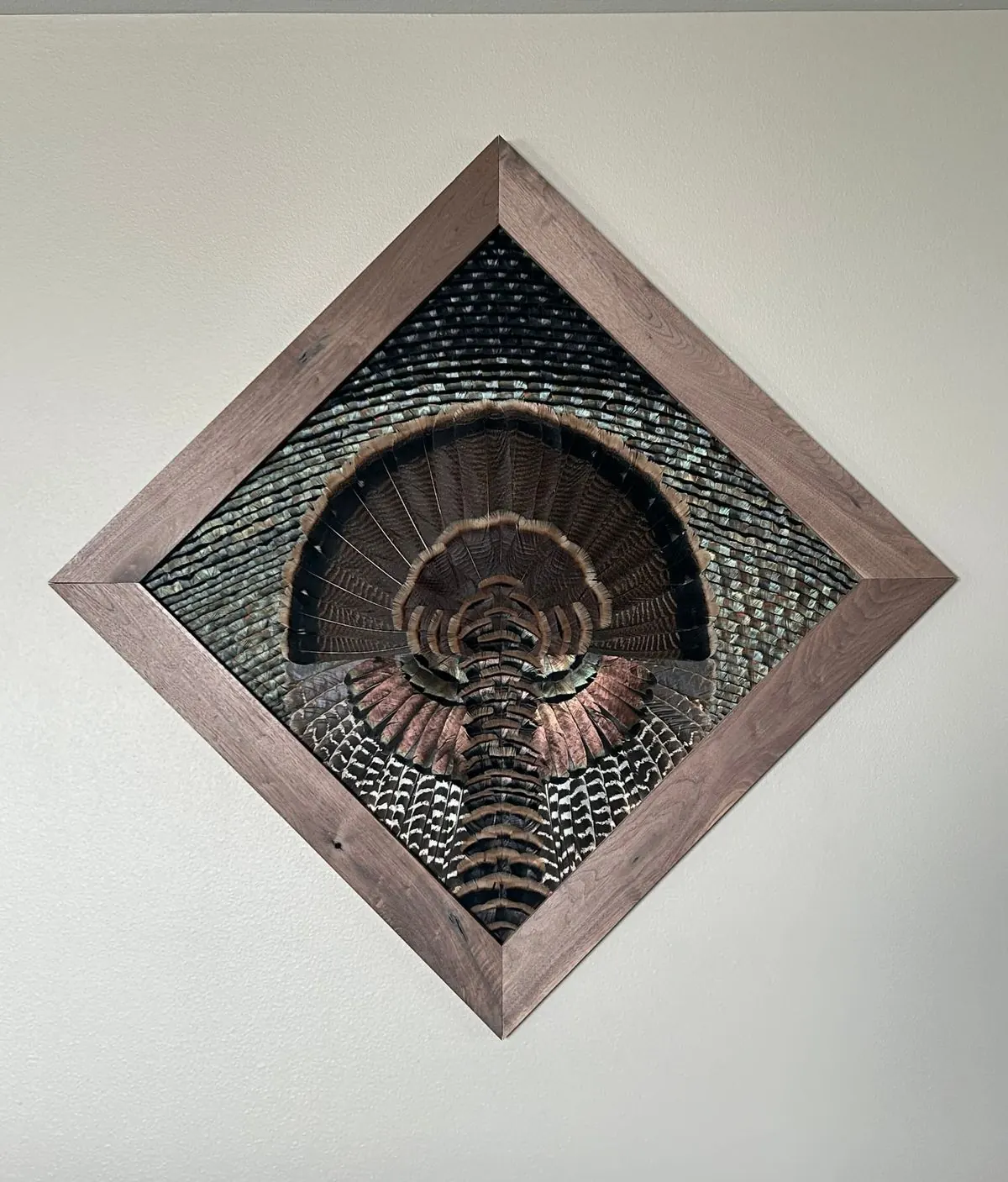 Turkey diamond mount hung on point on a painted wall
